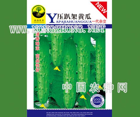 压趴架黄瓜